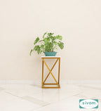 Sivom Sivom Chilton Display Unit for Modern Homes | Elegant Design & Premium Finish