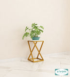 Sivom Sivom Chilton Display Unit for Modern Homes | Elegant Design & Premium Finish