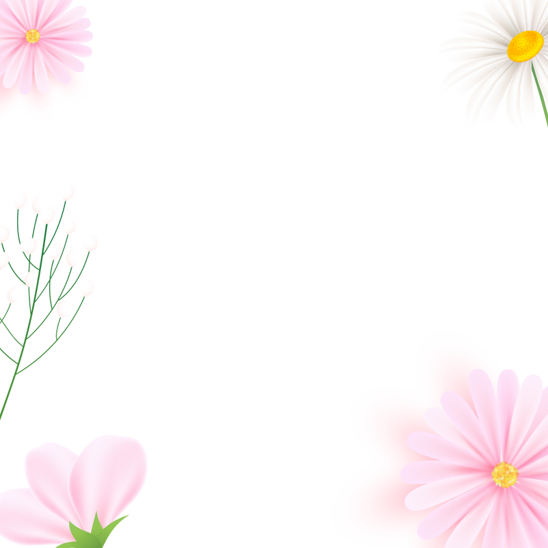 Frame overlay