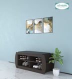 Sivom SIVOM Kate Engineered Wood Shoe Rack (, 4 Shelves, Knock Down) for Modern Homes | Elegant Design & Premium Finish