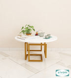 Sivom Sivom Ashley Display Unit for Modern Homes | Elegant Design & Premium Finish