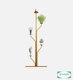 Sivom Sivom Ashley Display Unit for Modern Homes | Elegant Design & Premium Finish